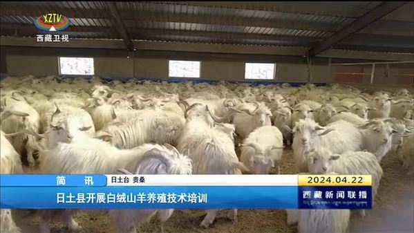 日土县开展白绒山羊养殖技术培训