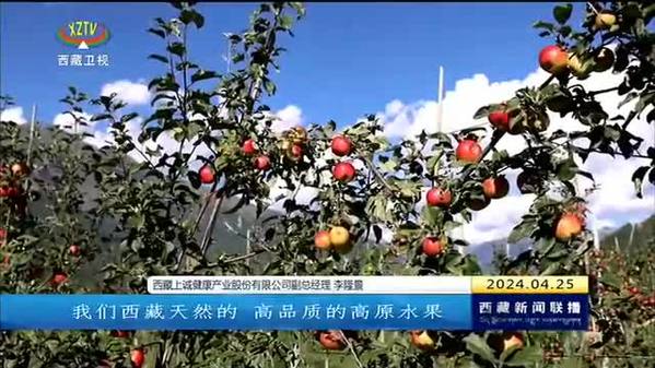 西藏自治区本地水果首次实现出口