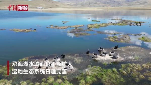 尕海湖：烟波浩渺 水天一色
