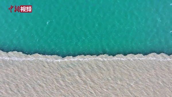 青海湖第一大入湖河流布哈河入湖口现“泾渭分明”景观