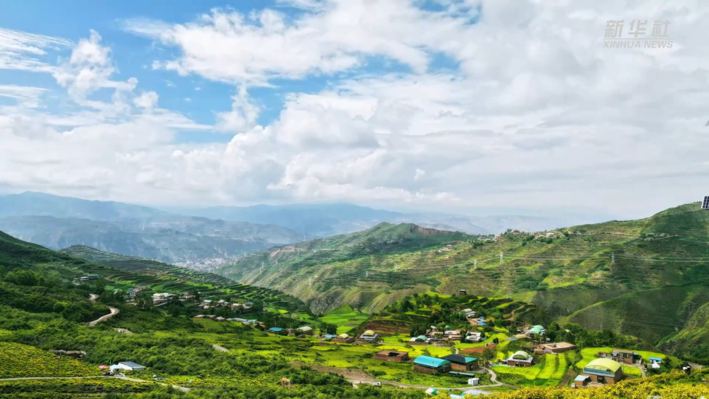同仁曲加：云端上的藏族村落
