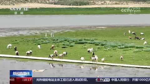 【美丽中国】青海海晏：湖水沙丘美如画 金沙湾景区游人多