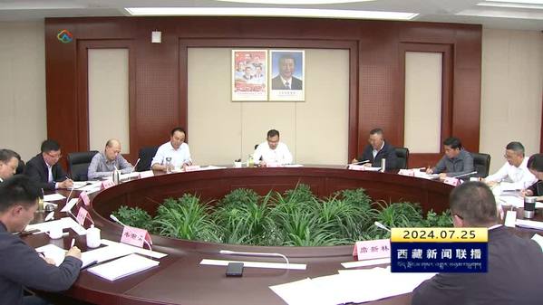 赖蛟主持召开青藏铁路（西藏段）电气化改造项目2024年第2次包保会议