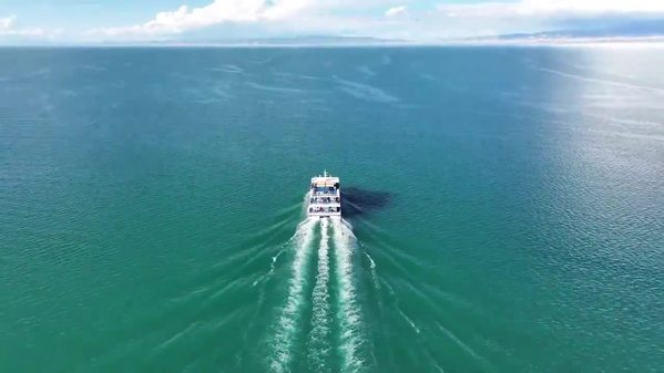 色彩绘风景丨碧波荡漾的青海湖鱼翔浅底 水清岸绿