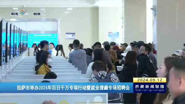 拉萨市举办2024年百日千万专项行动暨就业援藏专场招聘会