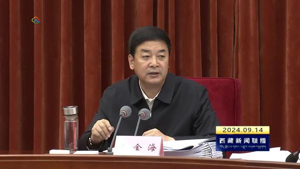 严金海主持召开区政府党组（扩大）会议 传达学习习近平总书记系列重要讲话精神等