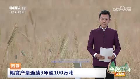 西藏：粮食产量连续9年超100万吨