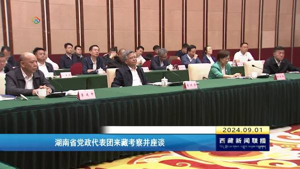 湖南省党政代表团来藏考察并座谈