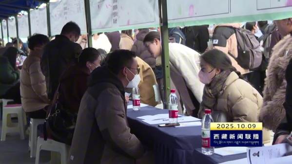 拉萨市多项补贴政策助力高校毕业生就业