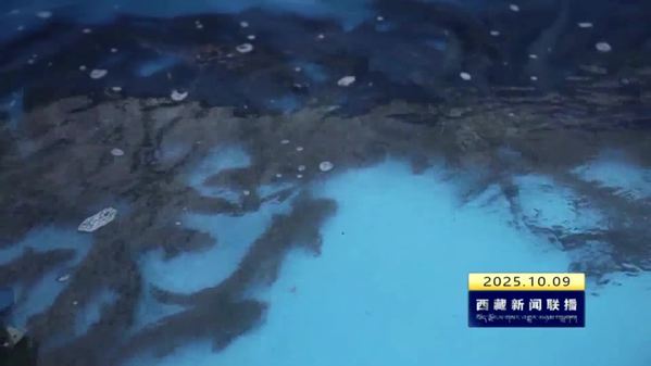 林芝市高原冷水鱼1至8月产量超全年目标