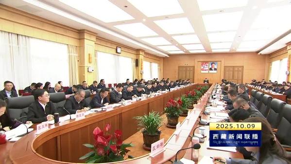 王君正主持召开自治区党委常委会会议研究西藏自治区“十五五”重大项目工作 科学谋划重大项目 积极培育优势产业 因地制宜发展新质生产力 推动社会主义现代化新西藏建设