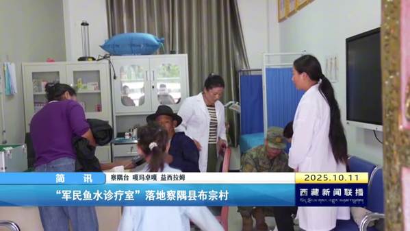 “军民鱼水诊疗室”落地察隅县布宗村