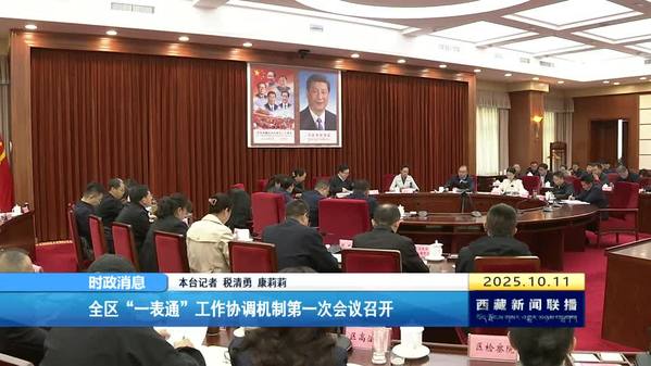 西藏自治区“一表通”工作协调机制第一次会议召开