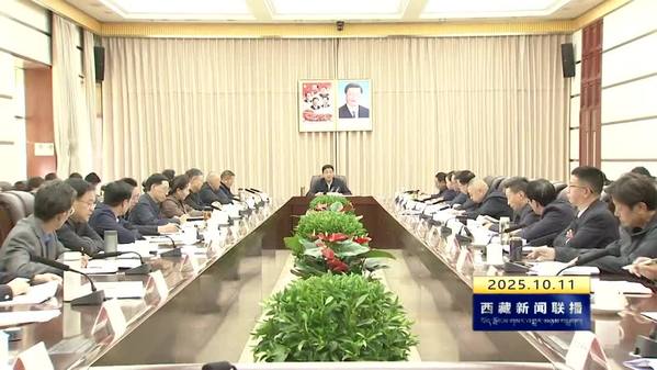 严金海在自治区人大常委会党组理论学习中心组学习读书班上强调：认真学好用好《习近平谈治国理政》第五卷 不断为社会主义现代化新西藏建设贡献人大智慧力量