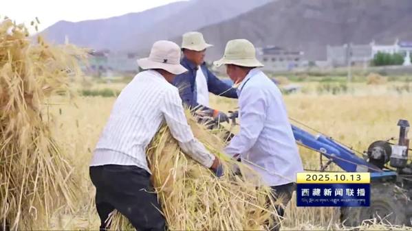 西藏自治区秋粮收获已过九成