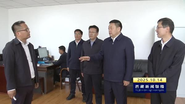 嘎玛泽登调研西藏自治区能源电力保供时强调：因地制宜发展新质生产力 全力保障能源电力稳定供应 为西藏自治区经济社会高质量发展提供坚强支撑