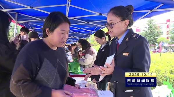 林芝市开展优化营商环境提升服务效能专题宣传活动