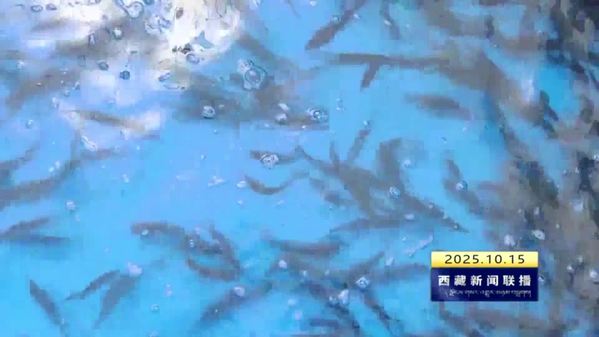 林芝市举办特有鱼种选育扩繁培训班