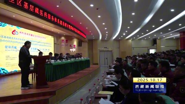 西藏自治区基层藏医药服务体系建设研讨活动在索县举办