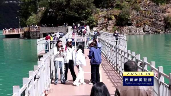 林芝市旅游经济保持稳步增长 林芝市旅游经济保持稳步增长