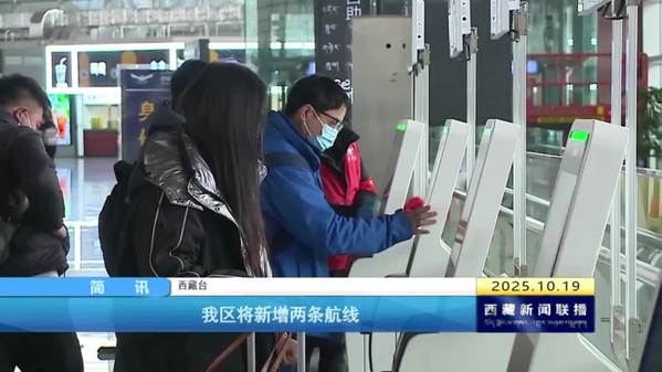 西藏自治区将新增两条航线 西藏自治区将新增两条航线