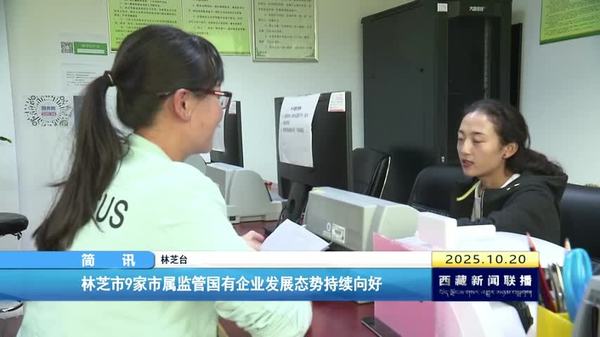林芝市9家市属监管国有企业发展态势持续向好