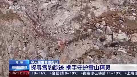 【今天是世界雪豹日】目前青海全省雪豹种群数量已超1200只