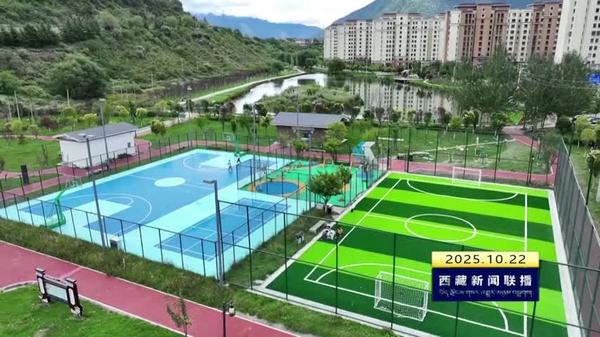 林芝市基础设施与公共服务水平显著提升