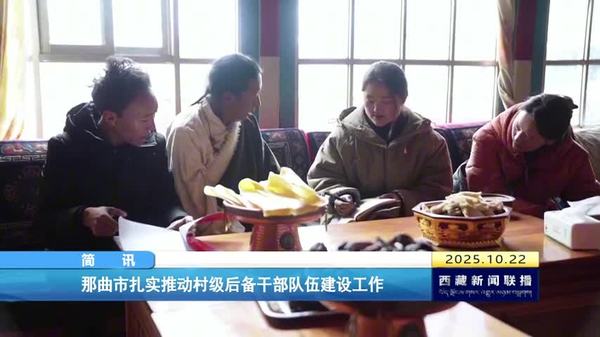 那曲市扎实推动村级后备干部队伍建设工作