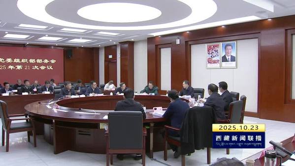赖蛟在区党委组织部援藏干部人才管理服务工作专题会议强调：健全制度机制 强化服务保障 推动干部人才援藏工作高质量发展