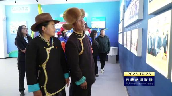 桑日县绿色工业小镇展览馆开馆