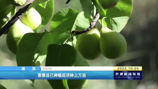 察雅县已种植经济林上万亩