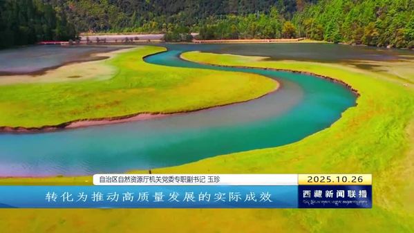 【学习贯彻党的二十届四中全会精神】为强国建设民族复兴伟业贡献西藏力量