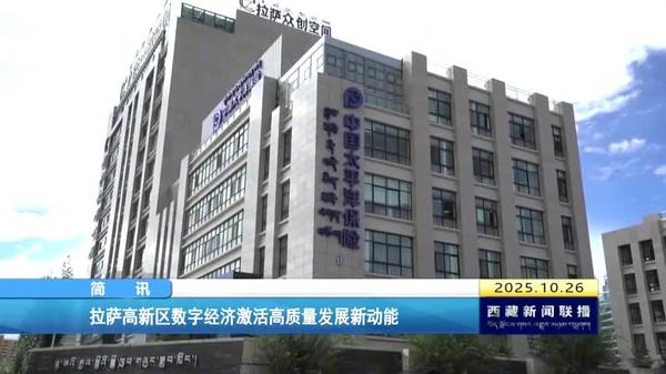 拉萨高新区数字经济激活高质量发展新动能