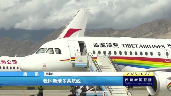 西藏自治区新增多条航线 西藏自治区新增多条航线