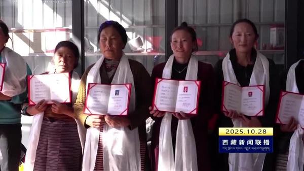 加查县开展妇女钩针技能培训