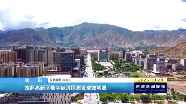 拉萨高新区数字经济区建设成效明显