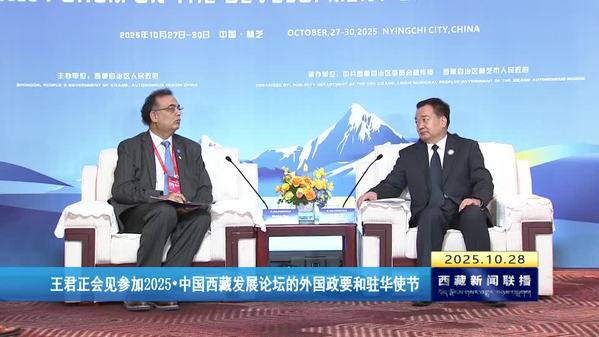 王君正会见参加2025·中国西藏发展论坛的外国政要和驻华使节