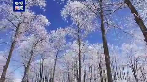 高原拥雪 祁连山下城披银