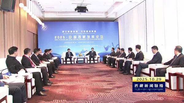 王君正与参加2025·中国西藏发展论坛的嘉宾和国内专家学者代表座谈