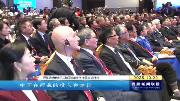 中外嘉宾共绘令世界瞩目的雪域新篇