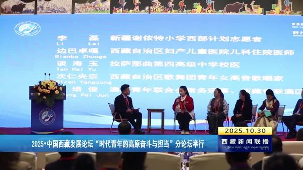 2025·中国西藏发展论坛“时代青年的高原奋斗与担当”分论坛举行