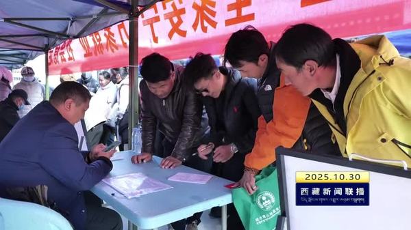 当雄县举办“千万岗位送基层”招聘会