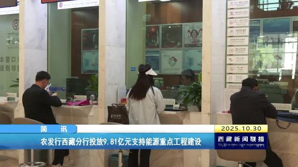 农发行西藏分行投放9.81亿元支持能源重点工程建设