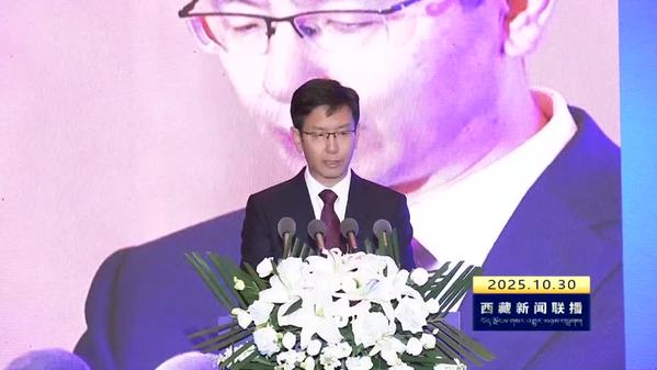 西藏自治区领导出席2025·中国西藏发展论坛相关活动