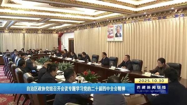 西藏自治区政协党组召开会议专题学习党的二十届四中全会精神
