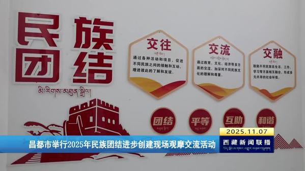 昌都市举行2025年民族团结进步创建现场观摩交流活动
