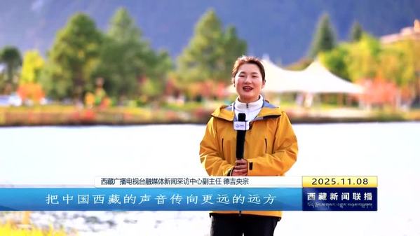 雪域笔耕映初心 高原光影铸荣光