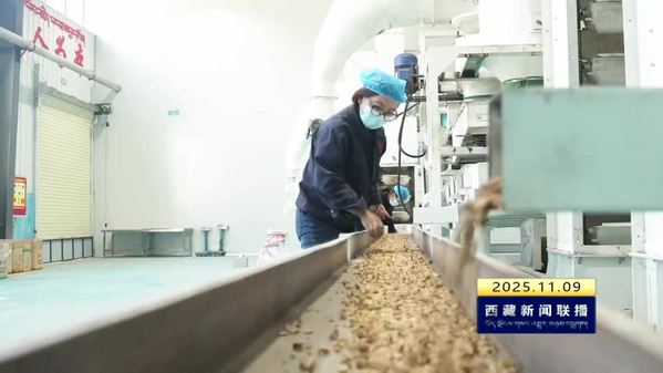 【新时代新征程新伟业·创建高原经济高质量发展先行区】前三季度西藏自治区农牧业发展稳中向好 农牧民收入持续增长