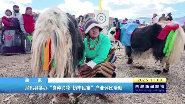 尼玛县举办“良种兴牧 奶丰民富”产业评比活动